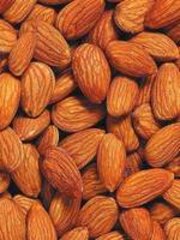 杏仁