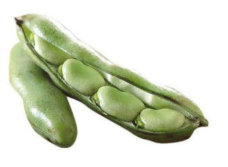 九种食物毒素别忽视小心误中毒