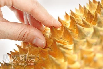 怎么样挑选榴莲的6个小窍门图文讲解