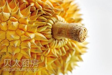 怎么样挑选榴莲的6个小窍门图文讲解