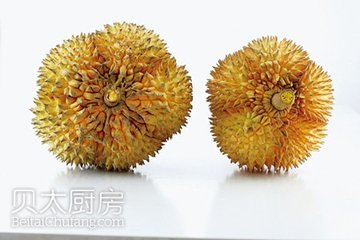 怎么样挑选榴莲的6个小窍门图文讲解