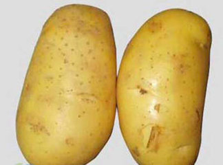 怎么样轻松去掉土豆涩味的4个小窍门