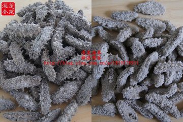 滋补用的干海参如何选购方法图文讲解