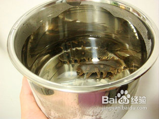 干海参怎么泡发的方法图文讲解(附视频教程)