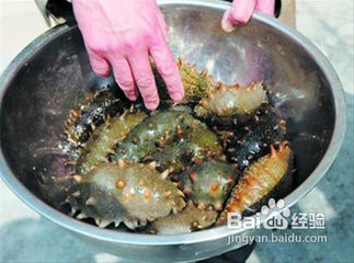干海参怎么泡发的方法图文讲解(附视频教程)