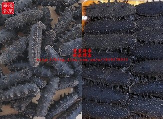 滋补用的干海参如何选购方法图文讲解