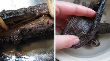 干海参怎么泡发的方法图文讲解(附视频教程)