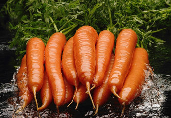 推荐可以帮电脑族“吃掉”辐射的5种食物