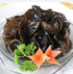 常吃黑木耳有哪些好处解析