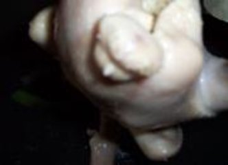 文昌鸡的做法第5步