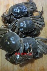 香辣河蟹的做法图解1