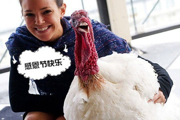 1448012783525183.jpg 300000764046129067389512163_950.jpg