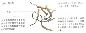 1450088528600289.jpg 12.jpg