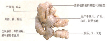 1450083679971934.jpg 1234234.jpg