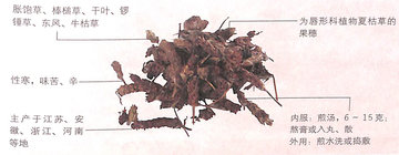 1450324515443764.jpg 3.jpg