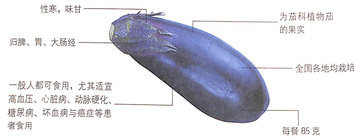 1450344972527339.jpg 1.jpg