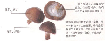 1450344051718931.jpg 3.jpg