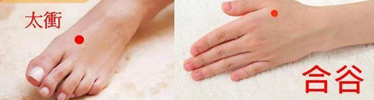 1450773811112578.jpg snap057.jpg