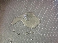 1450867658505133.jpg 5.jpg