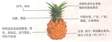 1451475584255917.jpg 3.jpg