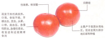 1451466514318212.jpg 3.jpg