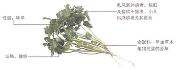 1451465542565377.jpg 1.jpg