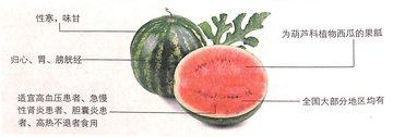 西瓜
