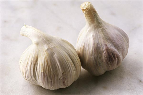 1452061192233172.jpg is283-050.jpg