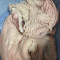 墨鱼猪肚汤的功效作用?怎么制作?