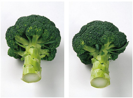 绿花椰挑选切口呈漂亮的圆形,花蕾紧密的 绿花椰挑选切口呈漂亮的圆形,花蕾紧密的