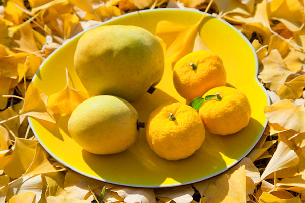 糖尿病可以吃银杏吗 银杏对身体有什么好处 糖尿病可以吃银杏吗 银杏对身体有什么好处