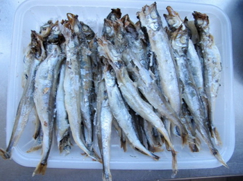 香煎多春鱼步骤1