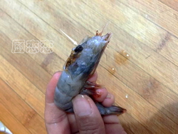 盐水虾步骤4