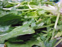 鲤鱼火锅的做法步骤9