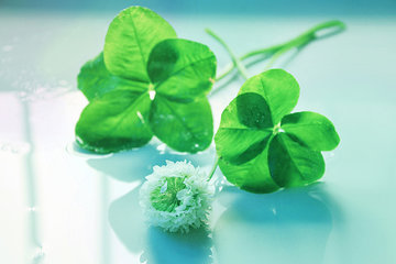 风油精可以喝吗?喝风油精会怎样 风油精可以喝吗?喝风油精会怎样