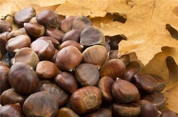 吃板栗上火吗?板栗吃多了会上火吗? 吃板栗上火吗?板栗吃多了会上火吗?