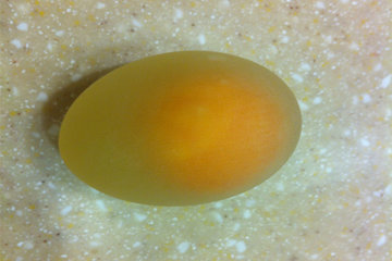 醋泡蛋对人的营养价值有哪些?醋泡蛋的功效是什么? 醋泡蛋对人的营养价值有哪些?醋泡蛋的功效是什么?