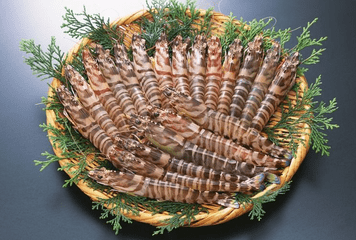 海虾煮多长时间熟？海虾怎么煮？