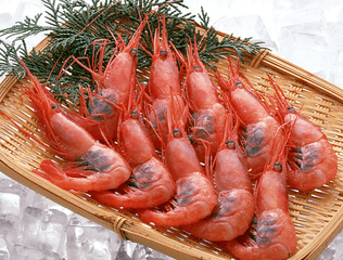 海虾煮多长时间熟？海虾怎么煮？