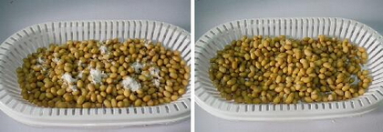 自制纳豆的做法步骤5-6