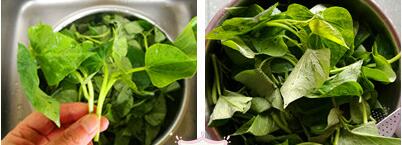 蒜蓉红薯叶的做法步骤1-2