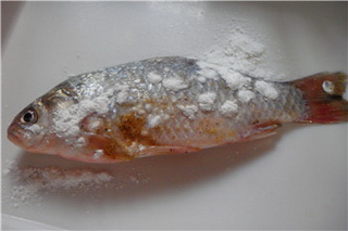 酥鳞小鲫鱼的做法步骤4