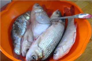 酥鳞小鲫鱼的做法步骤3