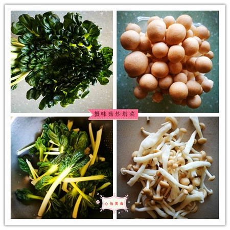 蟹味菇炒塔菜的做法步骤1-4