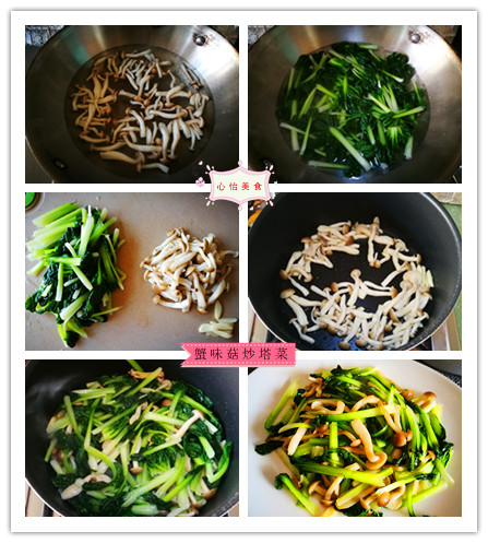 蟹味菇炒塔菜的做法步骤5-10