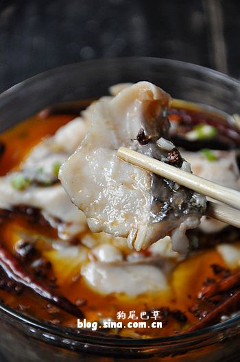 水煮鱼片的简单做法