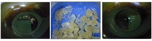 农家小炒肉步骤3