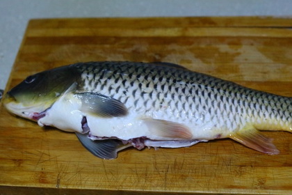 香酥鲤鱼的做法步骤1