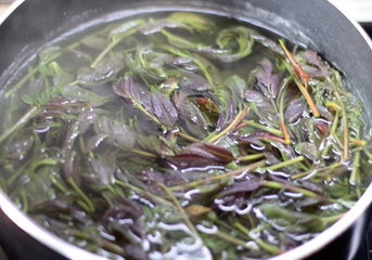 油炸香椿的做法步骤4