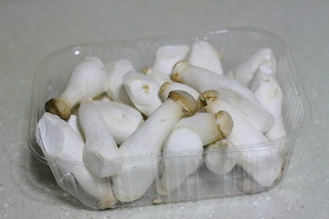 少油版炒杏鲍菇的做法步骤1